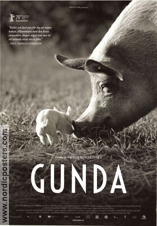 Gunda 2020 poster Victor Kossakovsky Dokumentärer