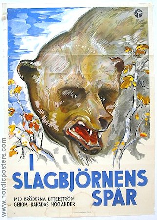 I slagbjörnens spår 1931 poster Bröderna Utterström Dokumentärer