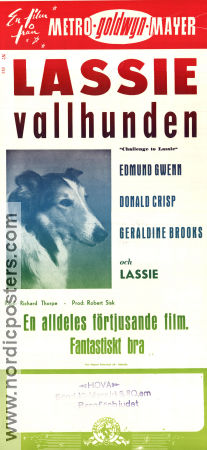 Lassie vallhunden 1949 poster Edmund Gwenn Donald Crisp Geraldine Brooks Lassie Richard Thorpe Hundar