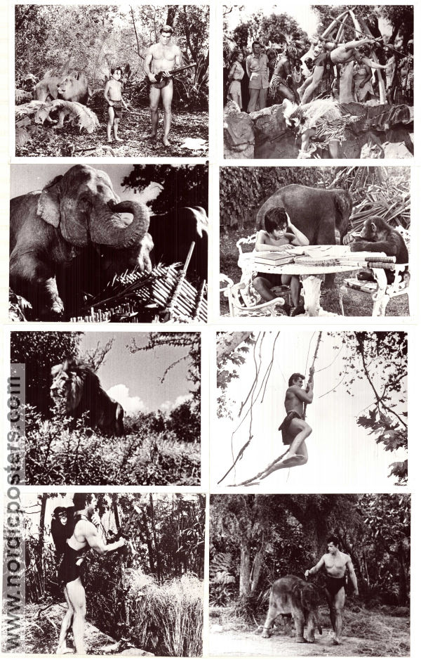 Tarzan djungelns erövrare 1960 filmfotos Gordon Scott Eve Brent Rickie Sorensen Charles F Haas Hitta mer: Tarzan
