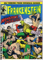 Frankenstein 1973 nr 4 omslag serier