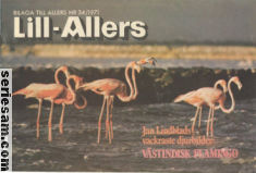 Lill-Allers 1971 nr 34 omslag serier
