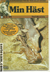 Min häst 1974 nr 38 omslag serier Min häst 1974 nr 38 omslag serier