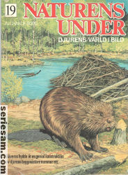 Naturens under 1984 nr 19 omslag serier