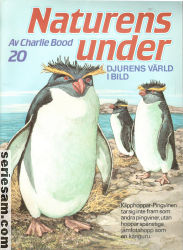 Naturens under 1985 nr 20 omslag serier Naturens under 1985 nr 20 omslag serier