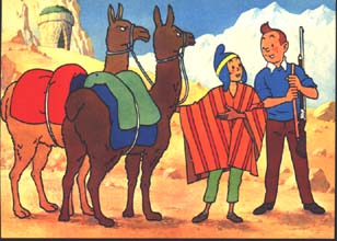 Tintin vykort